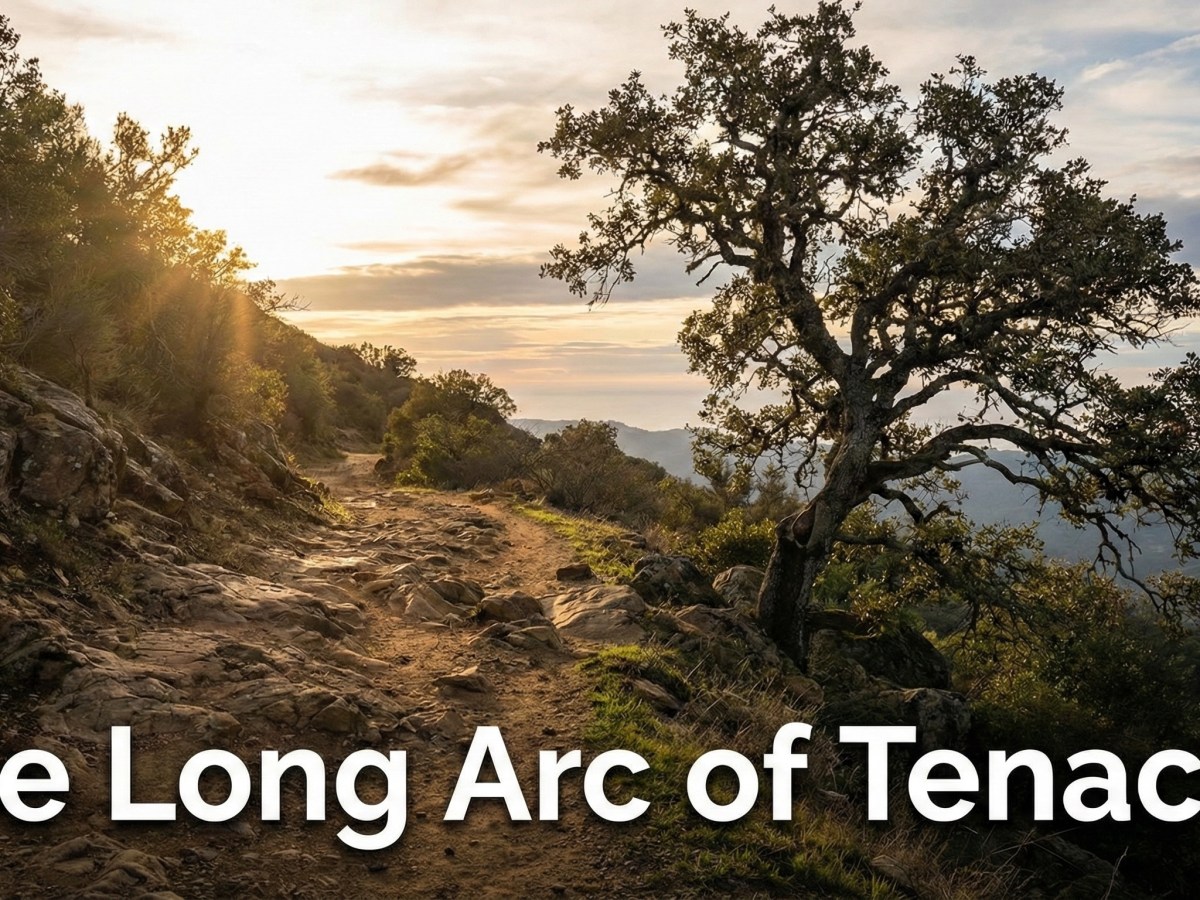 The Long Arc of Tenacity: Nancy Wexler’s&nbsp;Journey